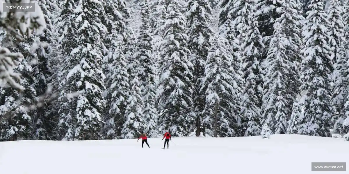 <strong>大满贯</strong>体育不止于竞技，更是对生活的热爱与坚持！🏓❤️